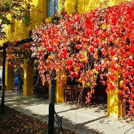 Cascina Bosco Gerolo Villa Rivergaro Ngoại thất bức ảnh