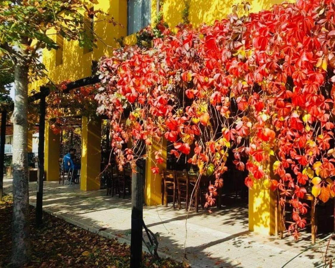 Cascina Bosco Gerolo Villa Rivergaro Ngoại thất bức ảnh
