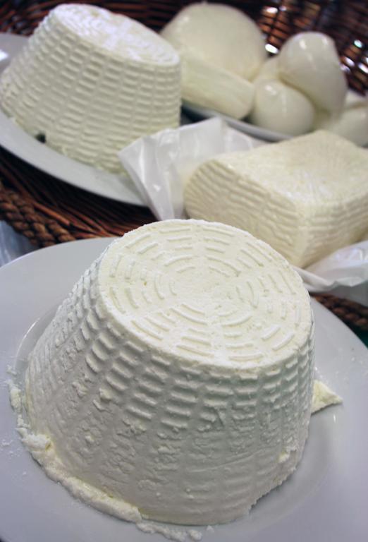 Cascina Bosco Gerolo Villa Rivergaro Ngoại thất bức ảnh